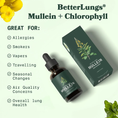 Cargar la imagen en la vista de la galería, Naturelung® Mullein + Chlorophyll Extract