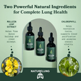 Cargar la imagen en la vista de la galería, Naturelung® Mullein + Chlorophyll Extract
