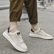 Sneakers elegantes en mesh