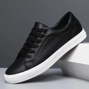Chaussures classiques en cuir